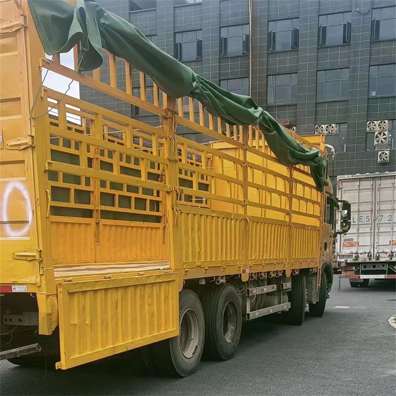 山东聊城东阿县至宜宾货运专线一站式物流服务，让货物畅行无忧